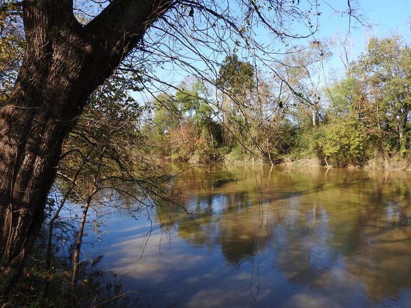 55.6 +/- Acres On Oostanaula River : Land for Sale in ...