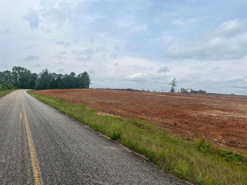 4 Acre Dream Homesite in Ariton : Ariton : Dale County : Alabama