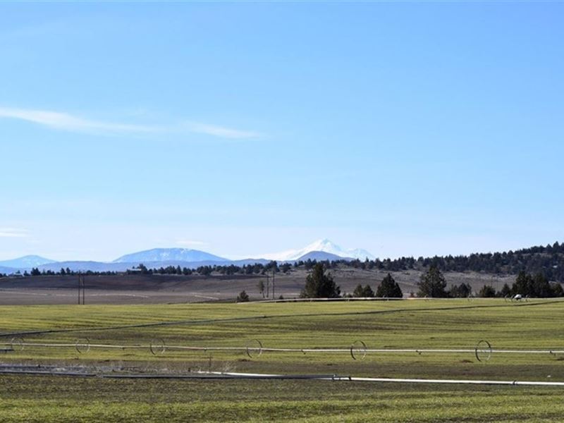 Peaceful 100 Acre Farm : Land for Sale in Malin, Klamath ...