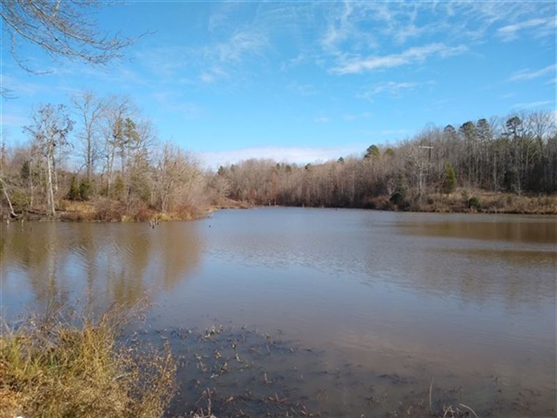 52 Acres, Cherokee County, SC : Land for Sale in Blacksburg, Cherokee ...