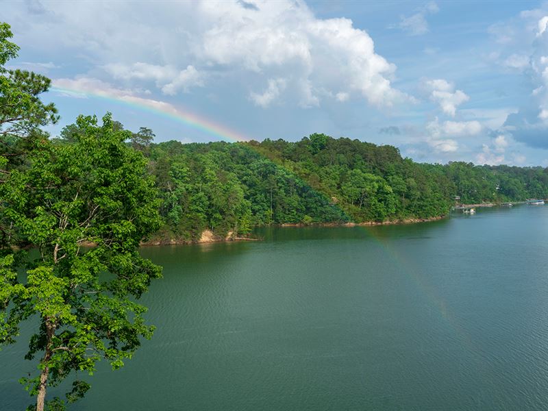 Land For Sale On Smith Lake Cullman Al