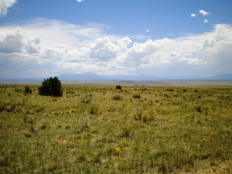 country-acreage-blm-land-land-for-sale-in-walsenburg-huerfano-county