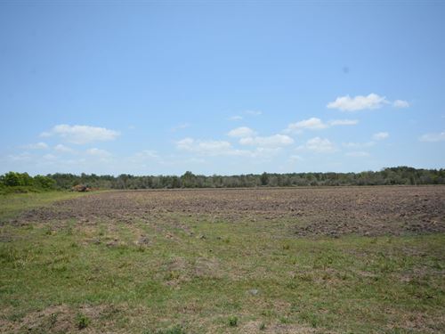 Beaumont Texas Hunting Land for Sale LANDFLIP