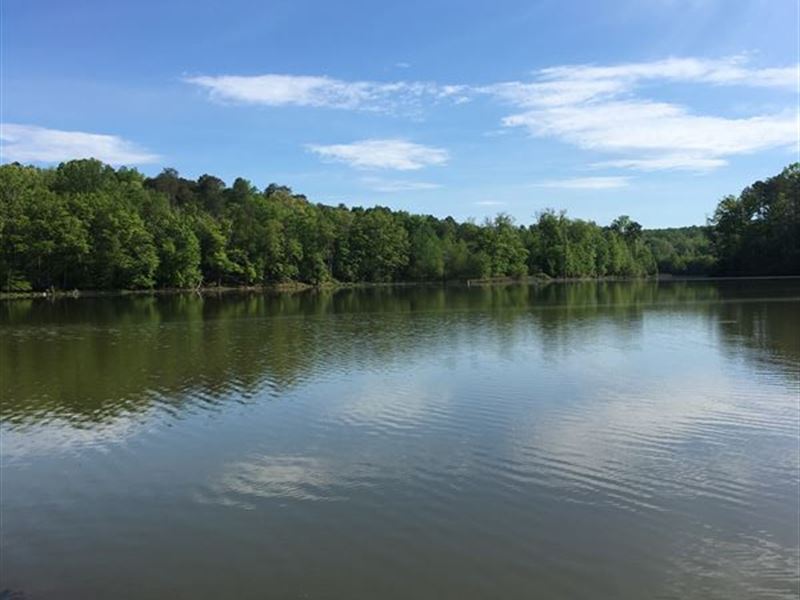 Lake Blalock Farm, Land for Sale in South Carolina, #191647 : LANDFLIP