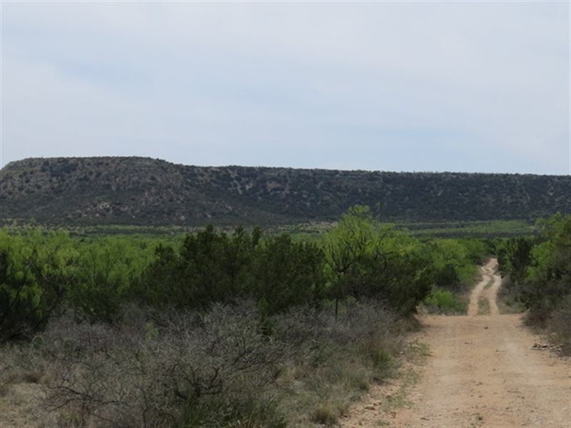 53.56 Ac with Water : Robert Lee : Coke County : Texas