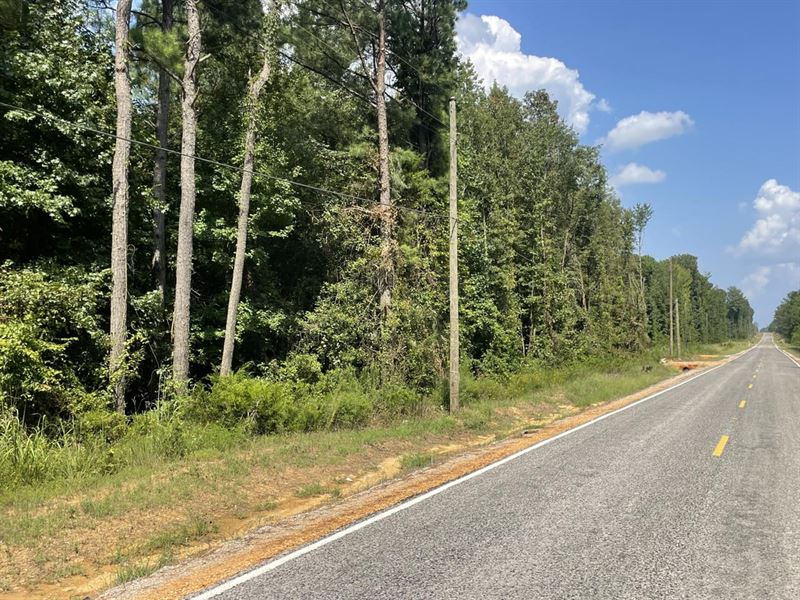 Long View rd Development Opportunit : Starkville : Oktibbeha County : Mississippi