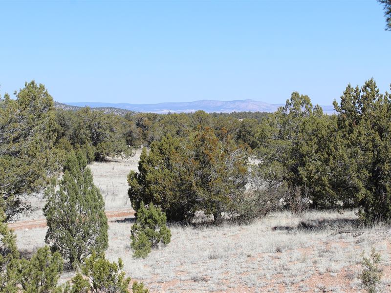 Northern Arizona 40 Acres For Sale Land for Sale in Seligman, Yavapai