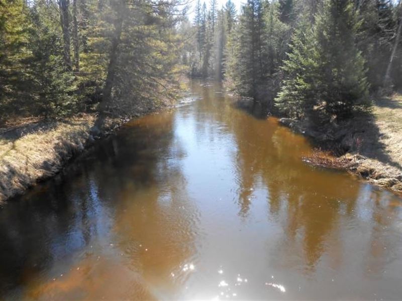 Thunder Bay River 9 Acres Fishing : Atlanta : Montmorency County : Michigan