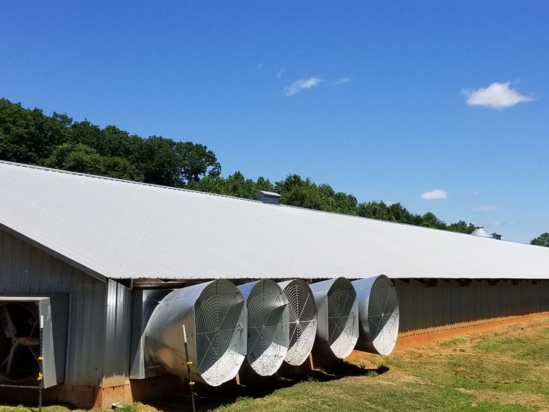 2 House Poultry Broiler Farm : Lula : Hall County : Georgia