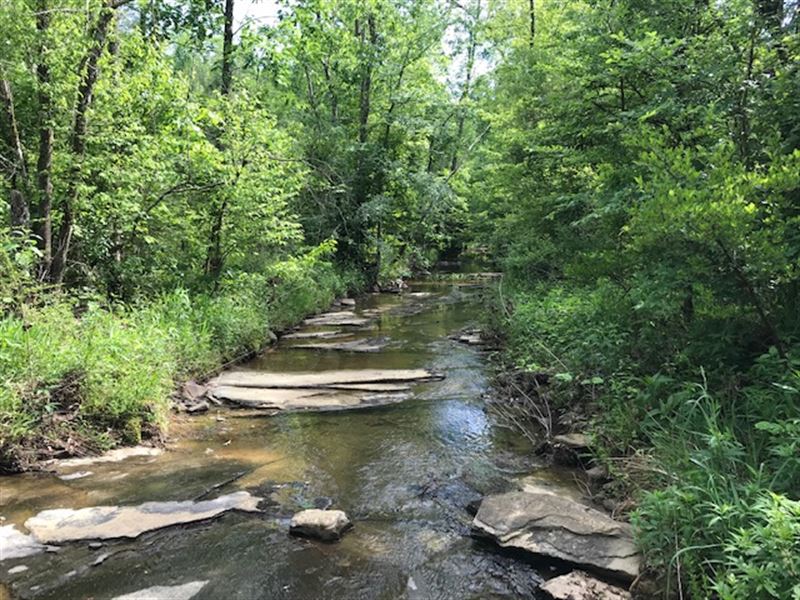 878 Ac, Creeks / Ponds, Development : Odenville : Jefferson County : Alabama