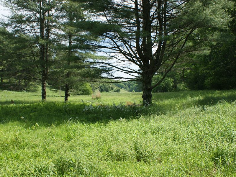 Beautiful Farm, Stream, Views : Elk Creek : Grayson County : Virginia