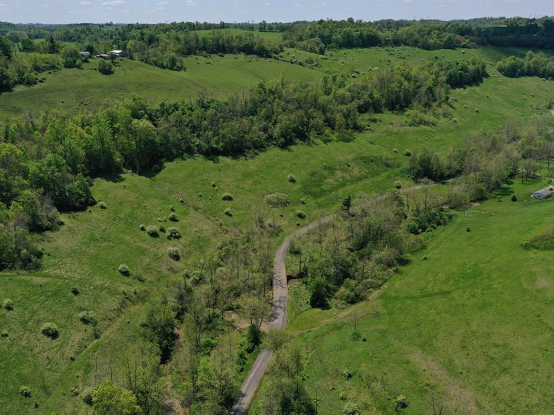 Amazing Land in Saint Clairsville : Smith : Belmont County : Ohio