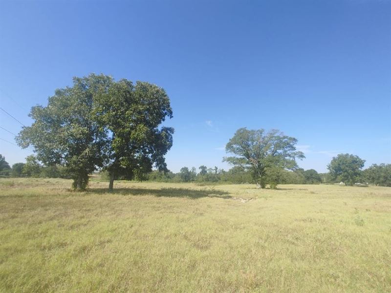 Country Living 27 Acres Sawyer Choc : Sawyer : Choctaw County : Oklahoma