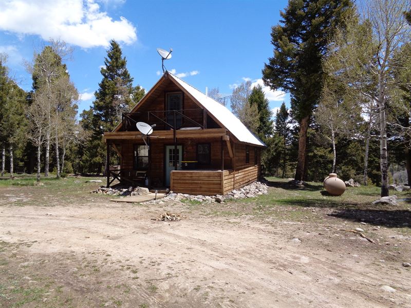 Recreation & Hunting Cabin 40 Acres : Land for Sale in ...