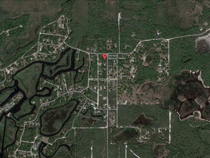 .22 Acres For Sale In Hernando, Fl : Land for Sale by Owner in Hernando ...