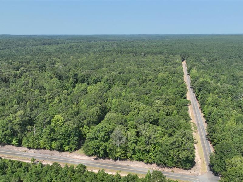 State Line Tract, Caddo Parish, 109 : Rodessa : Caddo Parish : Louisiana