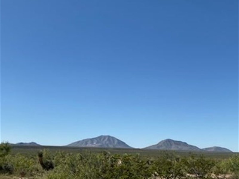 Electric + Power Pole On Land : Sierra Blanca : Hudspeth County : Texas