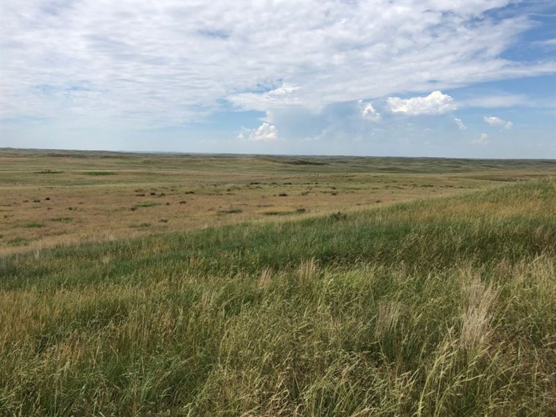 Hayes County Range : Land for Sale in Wellfleet, Hayes County, Nebraska ...