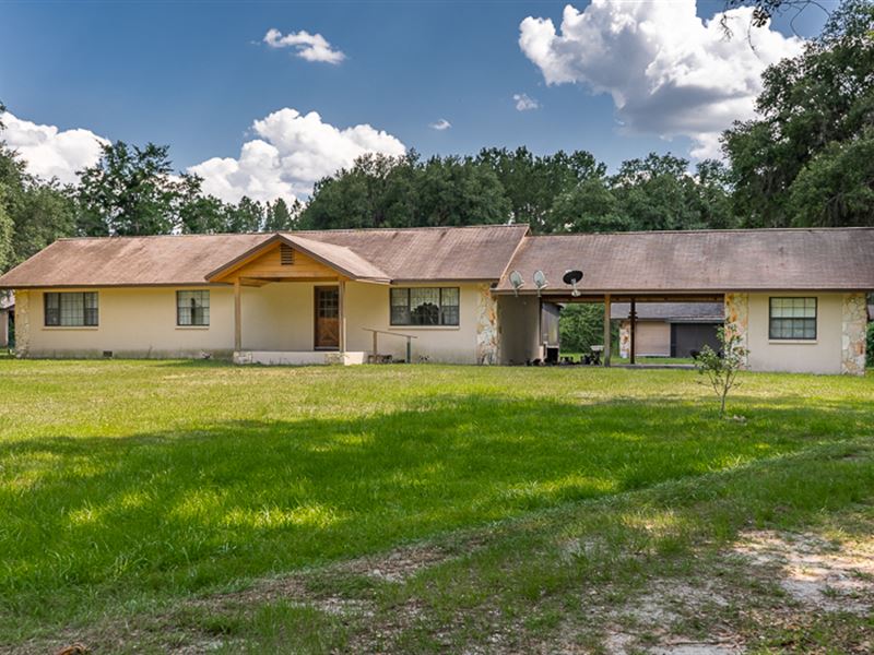 Unique Farm with 2 Creeks : Lake City : Columbia County : Florida