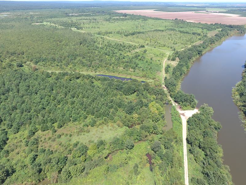 Proven Great Arkansas Duck Hunting : Bradford : Independence County : Arkansas