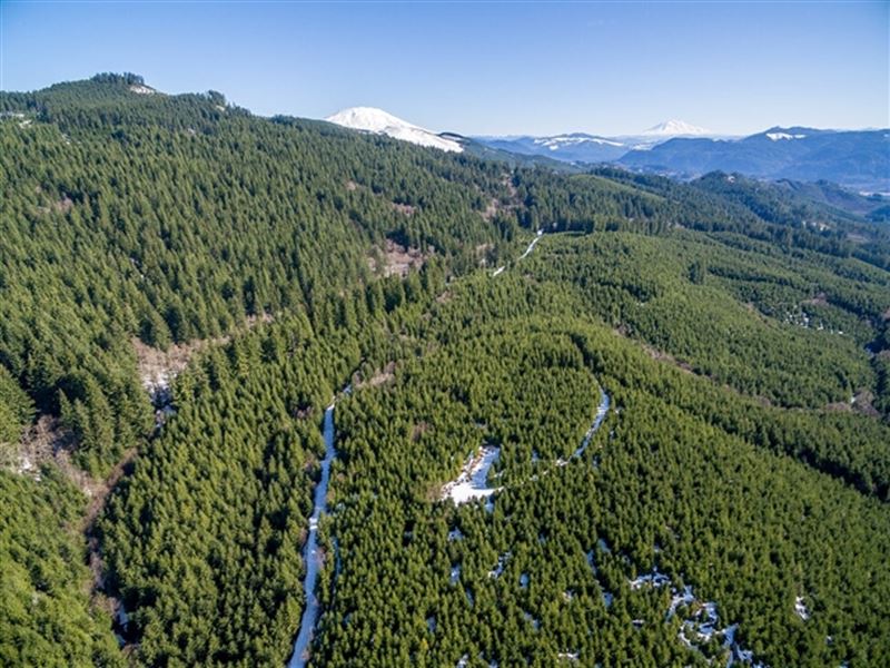 322.73 Acres in Amboy, WA Land for Sale in Amboy, Cowlitz County