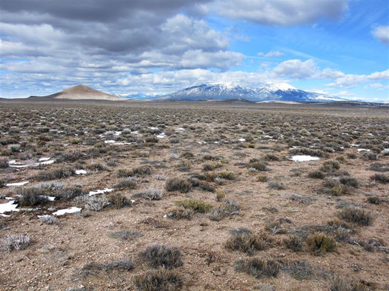 80 Acres Of Colorado Ranch Land : Fort Garland : Costilla County : Colorado