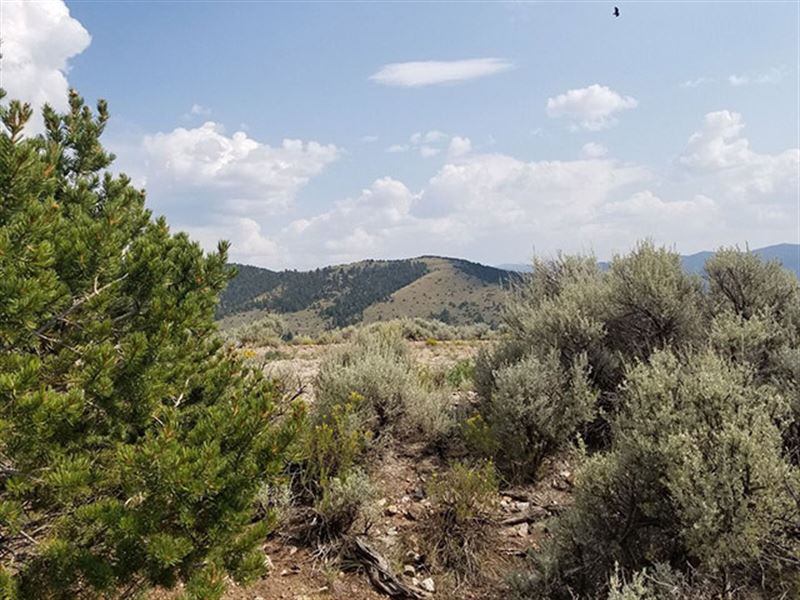 Colorado Foothill Land 5 Acres : Fort Garland : Costilla County : Colorado