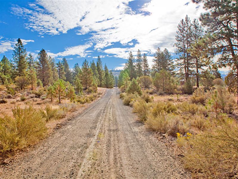 Oregon Land 2 Acres, Power On Road : Klamath Falls : Klamath County : Oregon