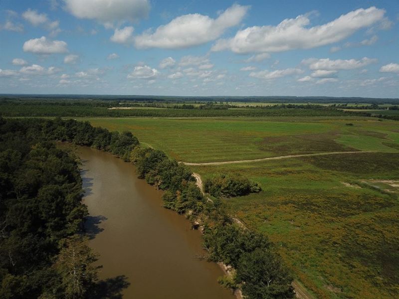 Old River Farm : Beulah : Prairie County : Arkansas