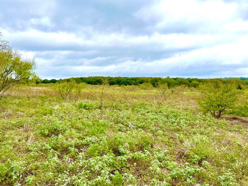 CR 2117, Gainesville, Texas 76240 : Gainesville : Cooke County : Texas