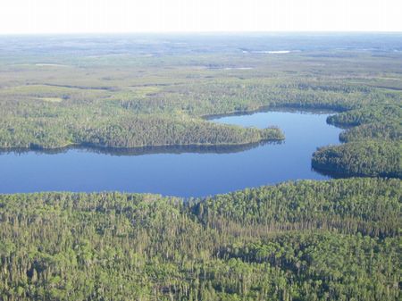 9 Ac - Red Lake, Land for Sale in Canada, #21818 : LANDFLIP