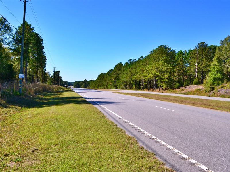 Hwy 9 Cheraw Commercial Acreage Land for Sale in Cheraw, Chesterfield