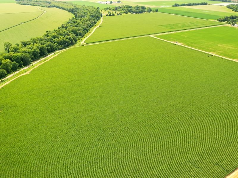 The Central Farm : England : Lonoke County : Arkansas