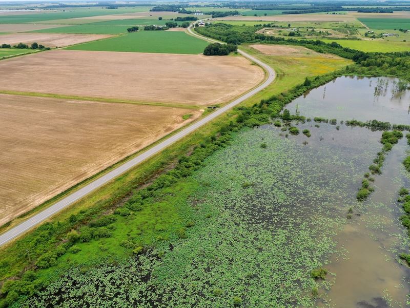 The Ayers Farm : Lonoke : Lonoke County : Arkansas