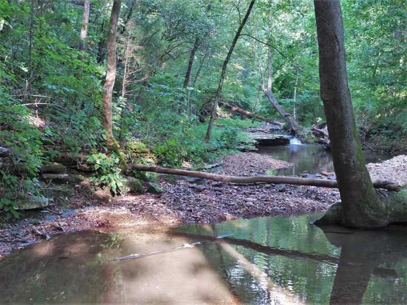 Old Creekside Ozark Homestead2 : Land for Sale in Saint Joe, Searcy ...