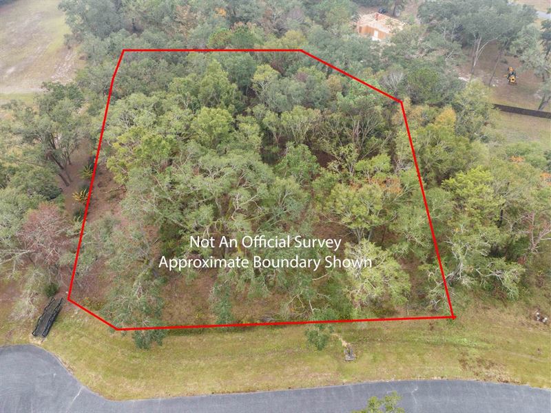 Vacant NE Briarwood Way, Pinetta : Pinetta : Madison County : Florida