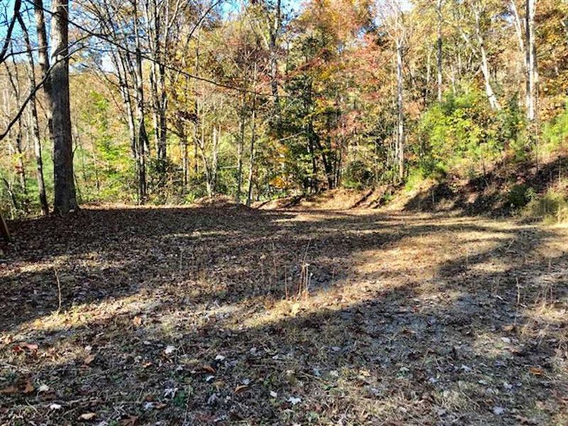 Gorgeous, Buildable Lot Between Br : Whittier : Jackson County : North Carolina