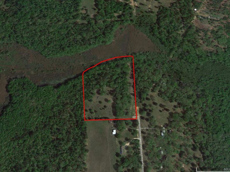 Beautiful 10 Acre Tract Land for Sale in Tyler, Smith County, Texas