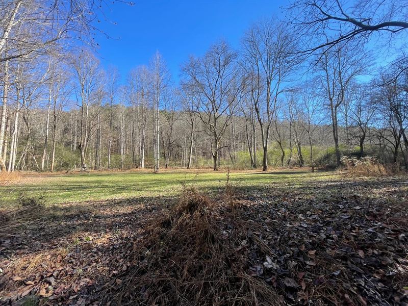 492 Acre Timber and Recreational Tr : Haleyville : Winston County : Alabama