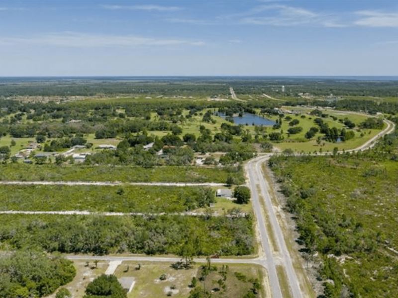 .5 Acre for Only $39,990 : Indian Lake Estates : Polk County : Florida