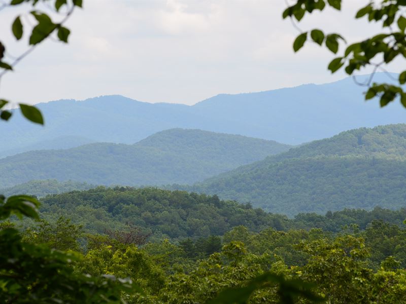 Burnt Mountain 1 : Ellijay : Dawson County : Georgia