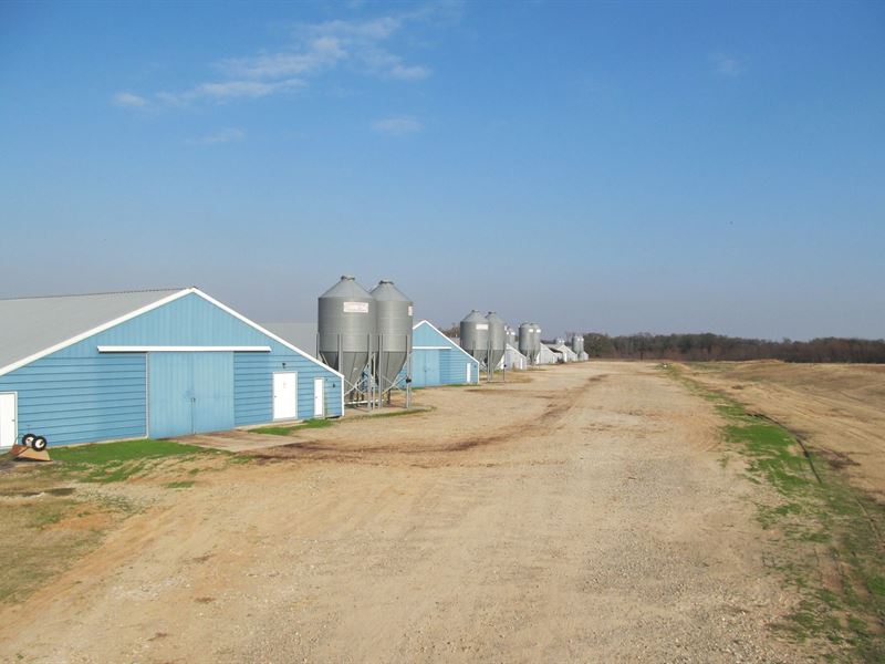 Pickton, TX Poultry Farm, 74 Acres : Pickton : Hopkins County : Texas