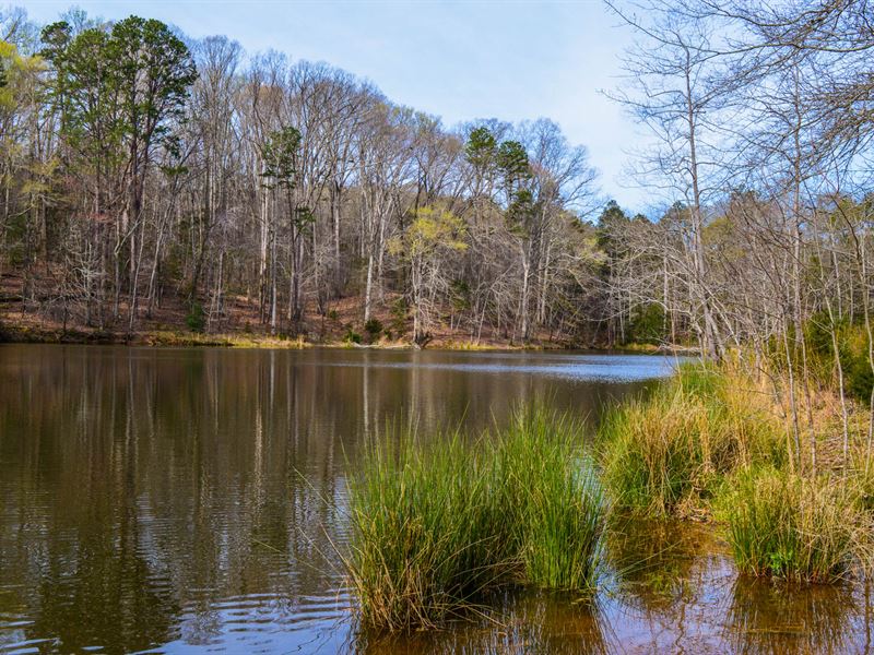 20+/ Acres with Large Private Pond, Land for Sale in South Carolina