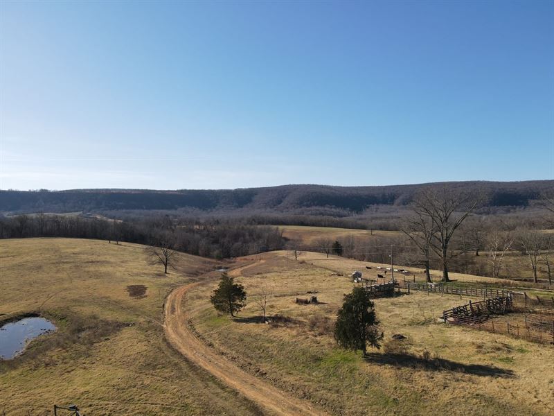 Mountain View Ranch : Mountain View : Stone County : Arkansas