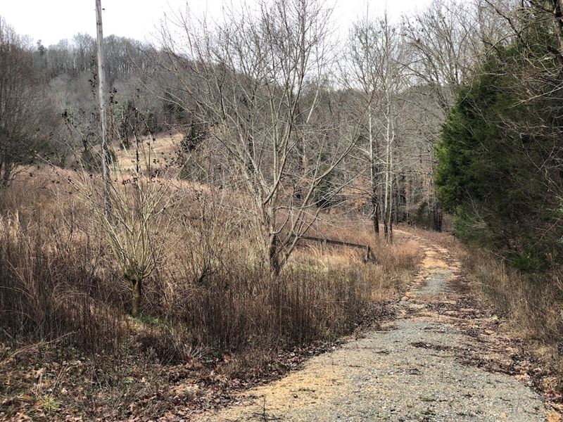 Acreage / Land Tn, Utilities, Pond : Clifton : Wayne County : Tennessee