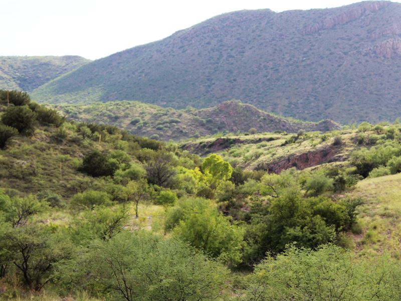 Alamo Canyon Ranch : Tubac : Santa Cruz County : Arizona