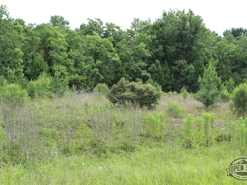 Perfect Unrestricted Land, Land for Sale by Owner in Texas, 228385