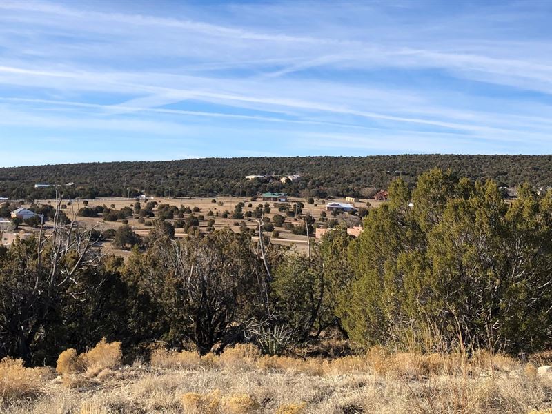 Edgewood NM 2.5 Acre Home Site : Land for Sale in Edgewood, Santa Fe