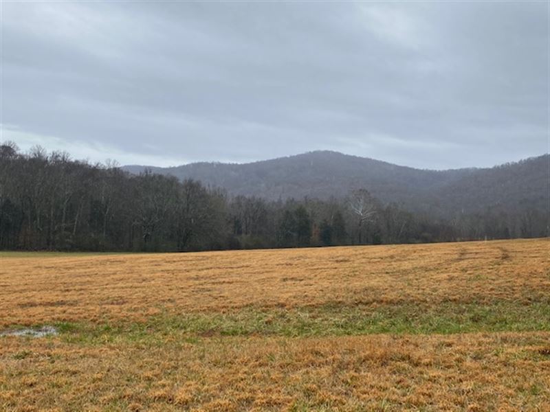 550+/ Acres Hardwoods / Pasture Land for Sale in McMinnville, Warren