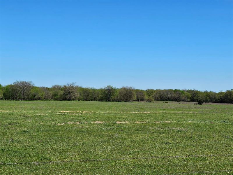 Price Reduced 70 Acres Of Peaceful : Coleman : Atoka County : Oklahoma